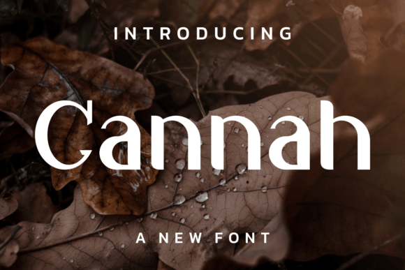 Elevate Your Brand with Cannah: A Modern, Natural Display Font