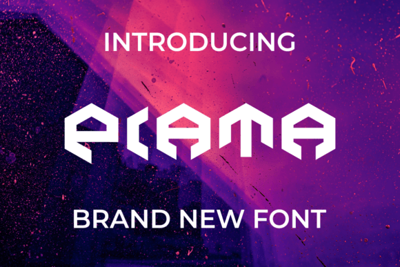 Transform Your Brand with Piata: A Bold Display Font